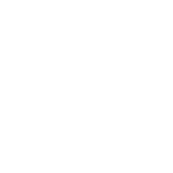 GAME Wallet Logo